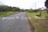 Land-in-Potrerillos-Chiriqui-Panama-for-sale